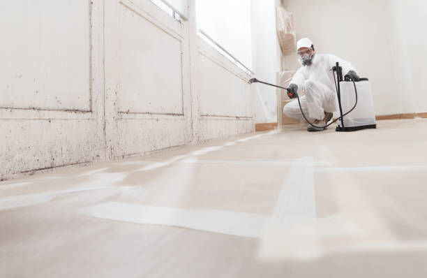 24/7 Emergency Mold Inspection experts in Brutus, MI